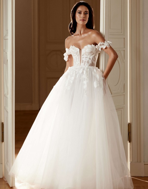 ROCHIE DE MIREASA AELLA