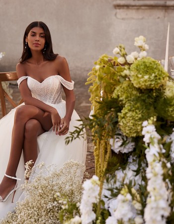 ROCHIE DE MIREASA SATURN