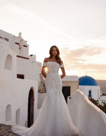 ROCHIE DE MIREASA 5733