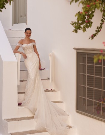 ROCHIE DE MIREASA VILENA