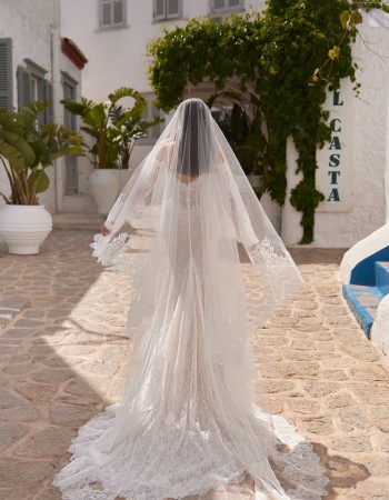 ROCHIE DE MIREASA CHESTER